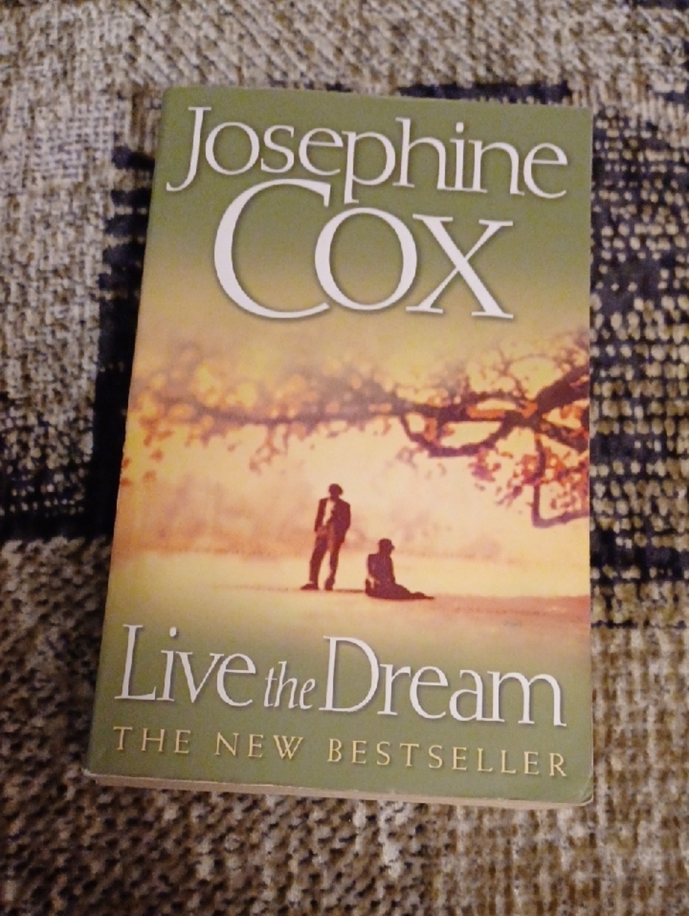 $4 Add-on Josephine Cox "Live the Dream" - Paperback Book